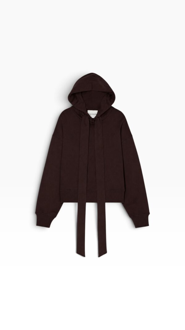 Hoodie in Chocolate brown