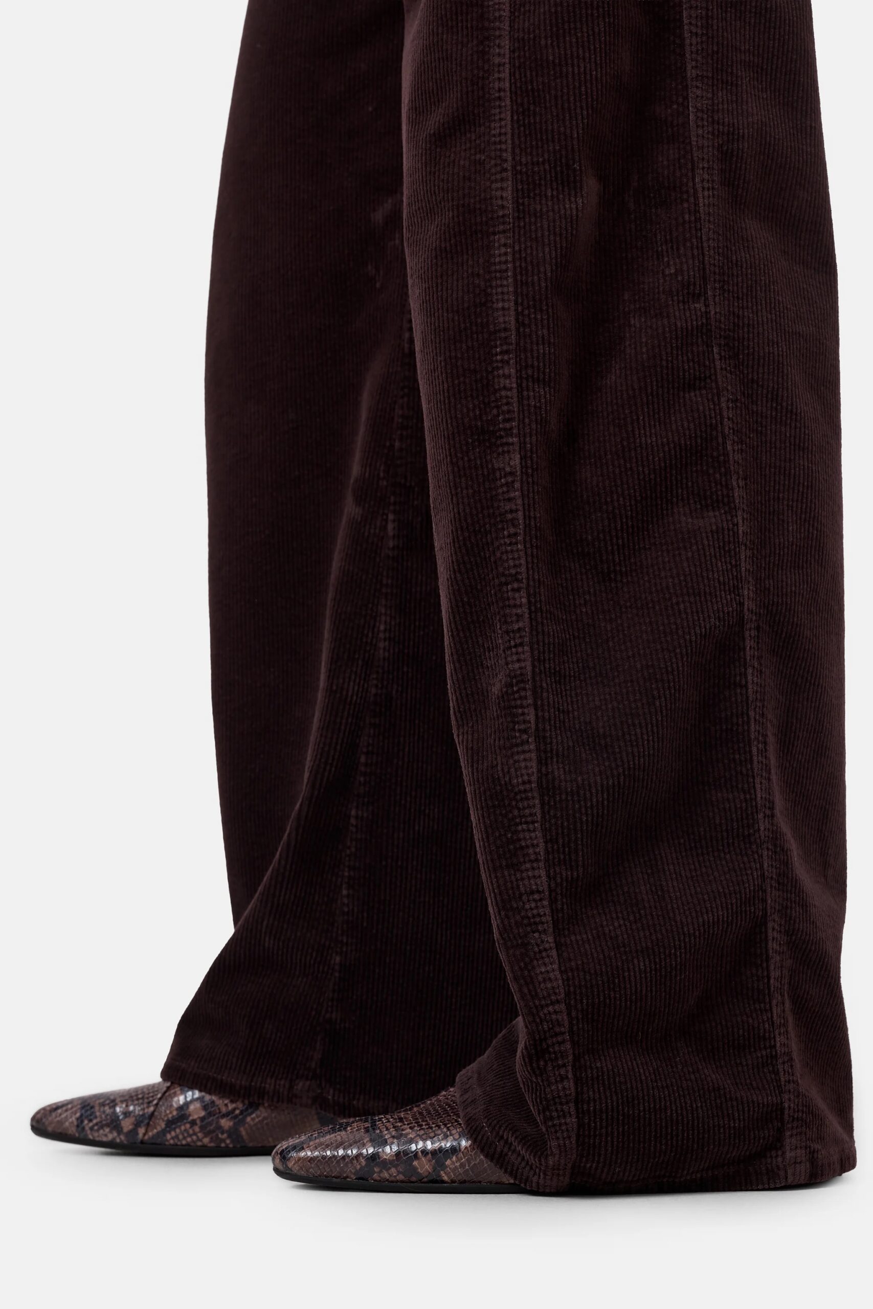Hose TORI-X in chocolate brown CLOSED